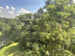 Avon Park (D13), Condominium #562043021